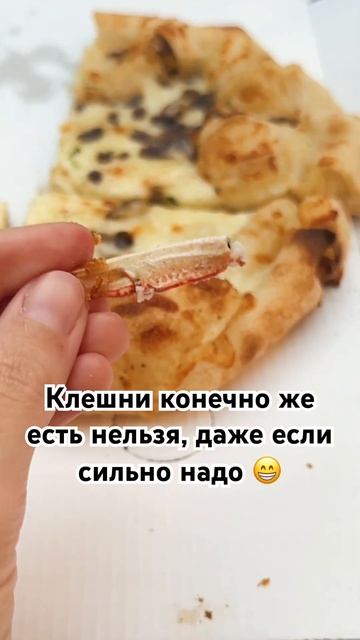 В прикуску к пицце 🤤 #пицца #итальянскаяеда #итальянс? смотреть онлайн