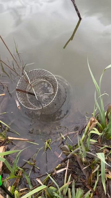 Рыбалка на Карася!