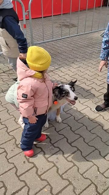 Самые важные участники праздника в ладу с актрисой смотреть онлайн