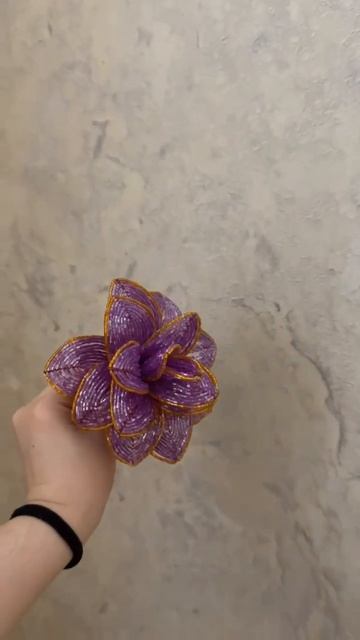 Гиацинт 😍 смотреть онлайн