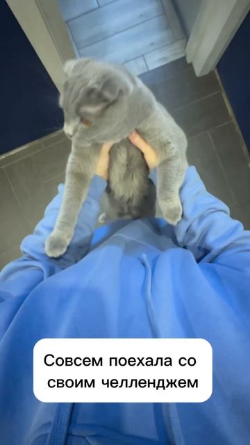 Хочешь есть - снимайся в рилсах😂😂😂 смотреть онлайн