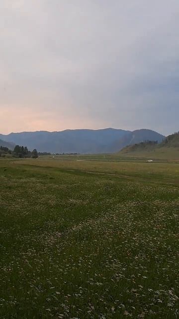 АЛТАЙ 2024 #life #жизнь #almaty#nature#путешествия#актив#automobile#trave смотреть онлайн