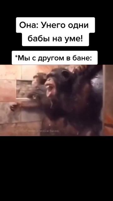 В бане без БАБ!#shorts #мемы #рекомендации смотреть онлайн