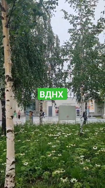 ВДНХ. Сказочная поляна!#сказка #вднх смотреть онлайн