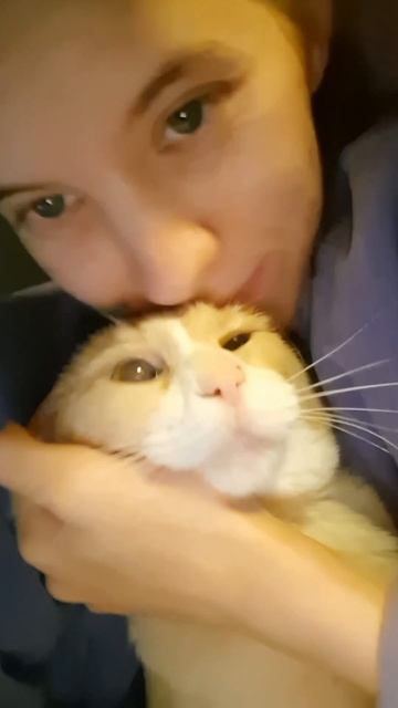 Ну потому что нельзя быть таким милым смотреть онлайн