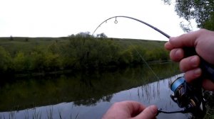 Микроджиг в мае на "палочку макаронину".