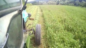 Люцерна на сено! Второй укос косим и плачем! Сенокос 2021