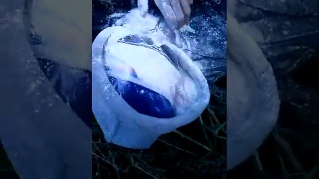 ПОЛНЫЙ БЕСПРЕДЕЛ !!!! ПРИКОЛ НАД ДРУГОМ !!!!!! смотреть онлайн