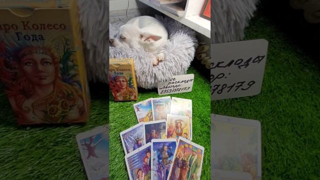 Есть ли у Вас Враги? смотреть онлайн