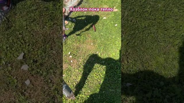 Хозблок который проектили в кетчупе #дача #стройка #са? смотреть онлайн