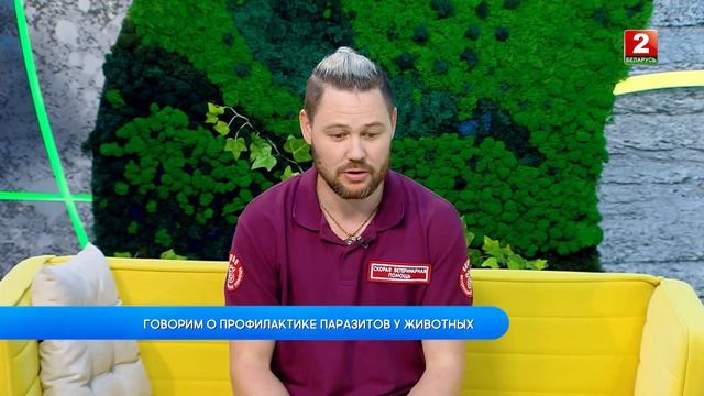 Паразиты у животных! Вячеслав Русяев - ветиринар! смотреть онлайн