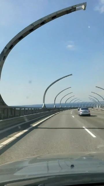 Балтийский берег в Питере) смотреть онлайн