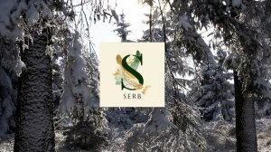 Знакомство с каналом SERB