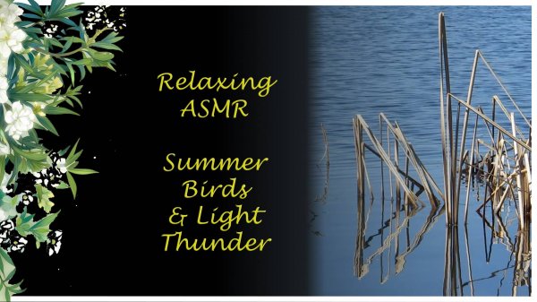 Relaxing ASMR Water Reflections and NATURE sounds