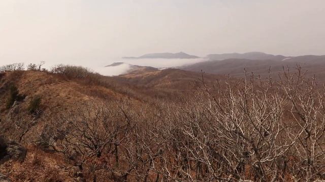 13 апреля 2024 г. Сихотэ-Алинь Японское море Давыдов В.С. Прогулка Коготь Мачу- Пикчу Приморье ...