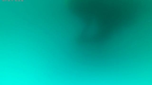 17.08.17 Подводное видео. Дети с Pro Diving Club смотреть онлайн