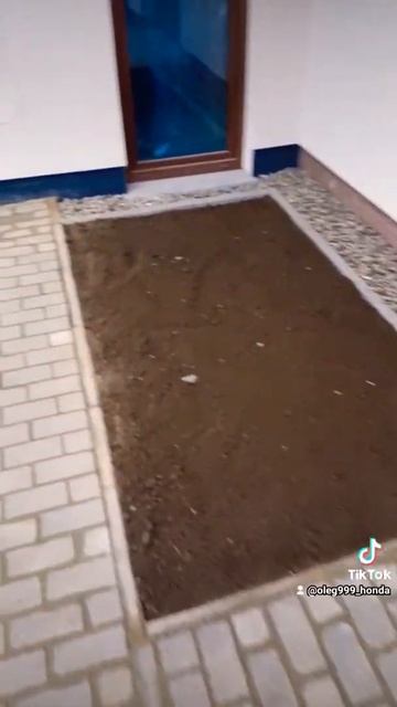 Rostock - Германия вход, крыльцо, дорожки. 💯💯💯 смотреть онлайн