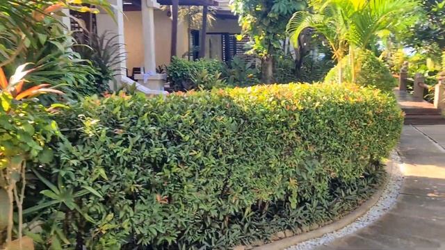 Samui 2023. Hotel Samui Jasmine Resort. Самуи 2023