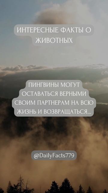 Интересный факт про животных! Есть тут любители пингв? смотреть онлайн
