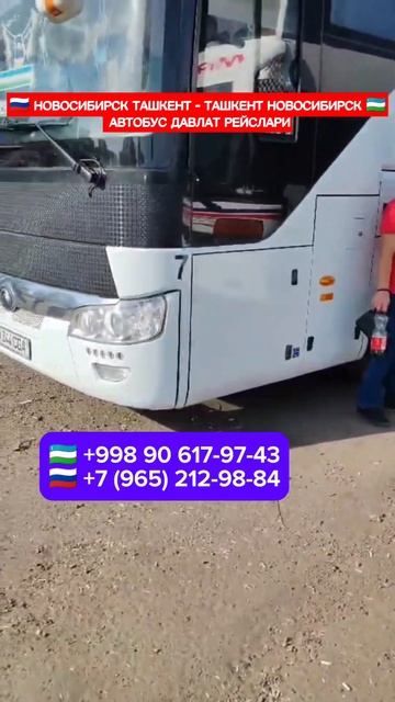 НОВОСИБИРСК ТАШКЕНТ -ТАШКЕНТ НОВОСИБИРСК АВТОБУС ДАВ? смотреть онлайн
