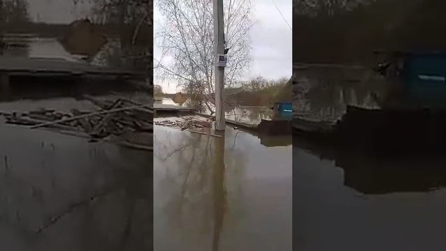 Дачное общество. Когда поворачиваешь на речпорт есть ? смотреть онлайн