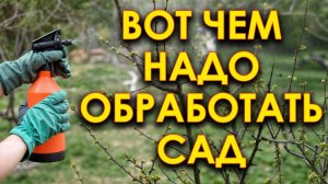 🍏 СПАСИТЕЛЬНАЯ БАКОВАЯ СМЕСЬ ДЛЯ САДА – ОТ БОЛЕЗНЕЙ И ВРЕДИТЕЛЕЙ В 1 ОПРЫСКИВАНИЕ!