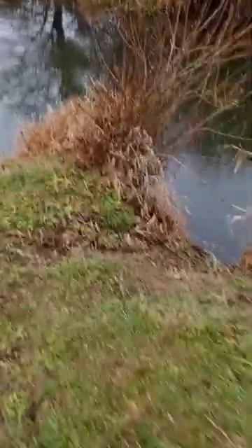 Неман- начало реки. смотреть онлайн