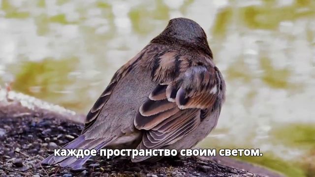 У Бога есть слово для вас сегодня Неважно, что произош смотреть онлайн