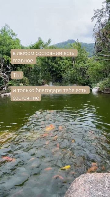 Пока есть ТЫ - есть все остальное смотреть онлайн