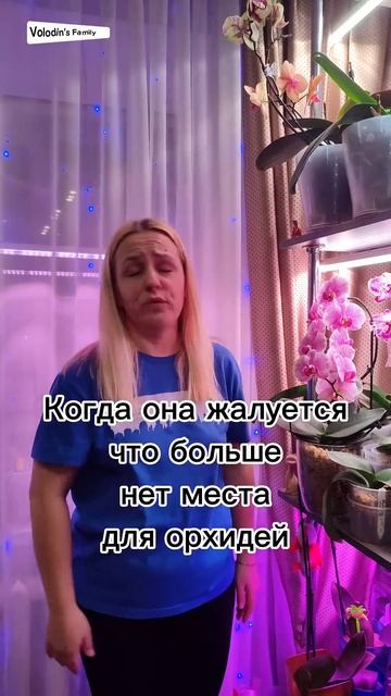 Опять жалуюсь, что нет места для новых орхидей, а @Stalkervd смотреть онлайн