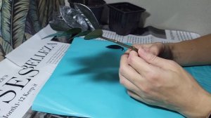 Замиокулькас Черный Равен. Описание, размножение и по?