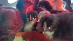 Обнять и пожалеть:)