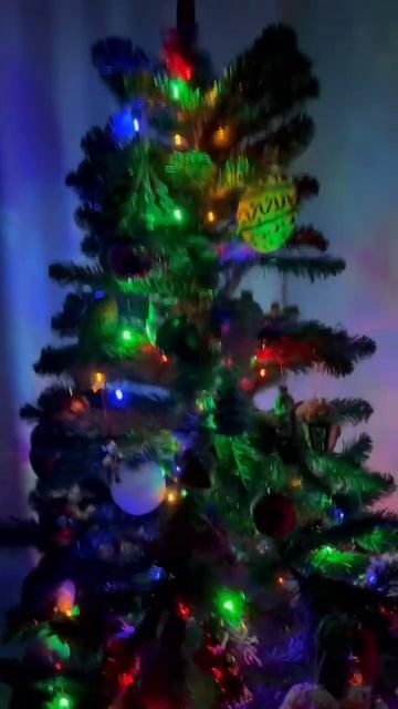 Живая или искусственная? #елка#newyeartree #2023#holliday смотреть онлайн
