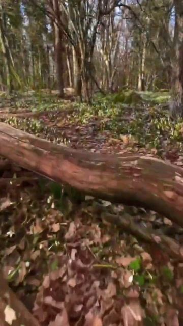 Крым. Подснежники смотреть онлайн