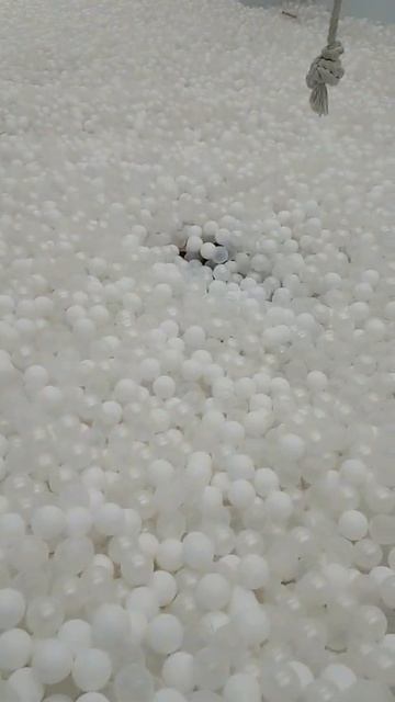 батут и бассейн