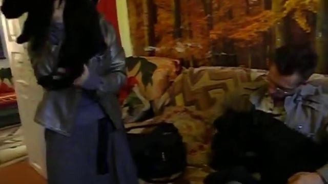 РОМАН-КОШ ВЕНЕЦИЯ С ВНУКАМИ. .AVI смотреть онлайн