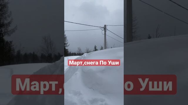 Друзья, снегу быть! А значит я не останусь в сороне😂✊? смотреть онлайн