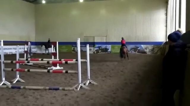 Надюшка на Проприете . Высота 100 см