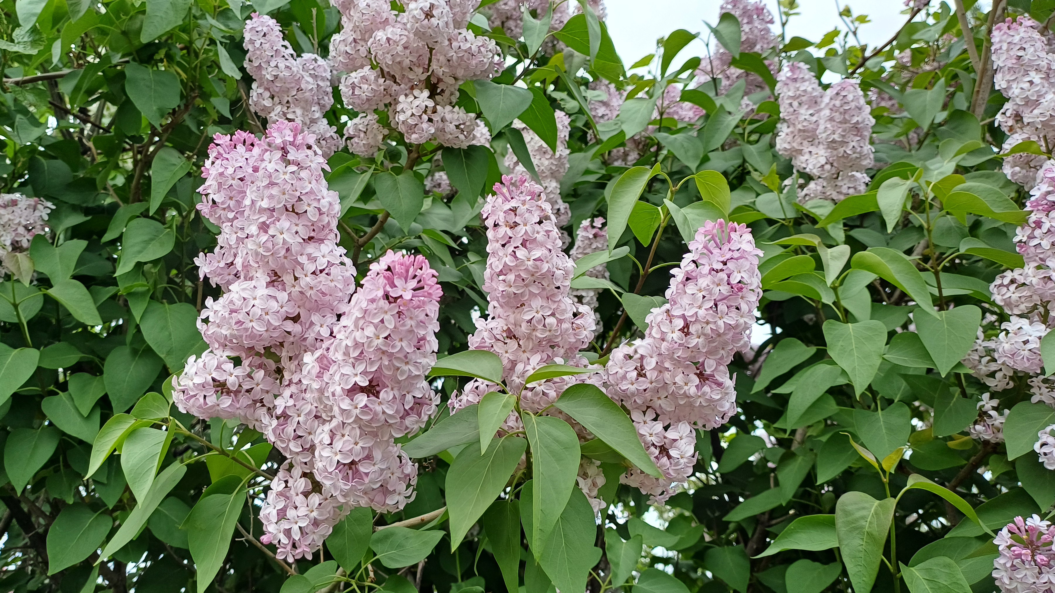 Рукодельнонедельные продвижения🧶📚🪡 смотреть онлайн