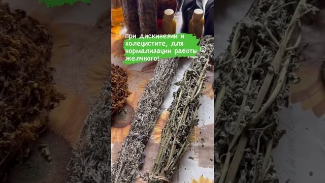 Восстановление работы желчного! смотреть онлайн