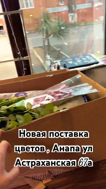 #анапа #цветы #цветыVasilek #Василек ул Астраханская 67а те? смотреть онлайн