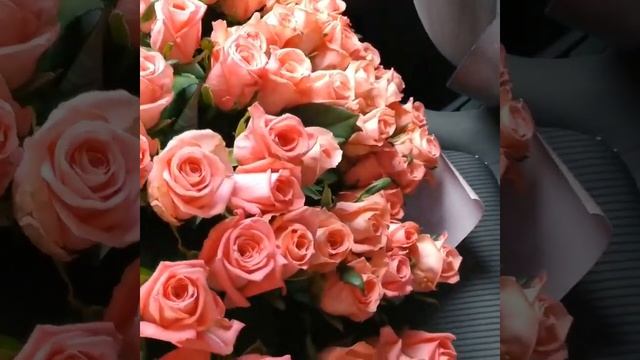 Только представьте сколько чувств и эмоций можно выра смотреть онлайн