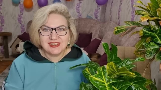 План проникновения в ДОСКИНО ❗️ смотреть онлайн