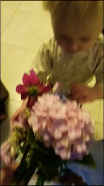 цветы с прогулки смотреть онлайн