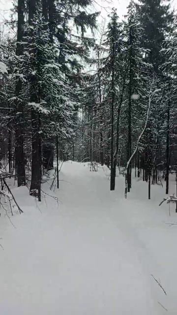 в одну харю решил пробежаться по Тагагаю, до Круглицы. Погода шикарная #Таганай #бег #трейлраннинг