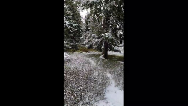 Чехія: спуск канатною дорогою з Ружевої Гори у Пєц-під-Снєжкою. Крконоше, Краловоградецький край.