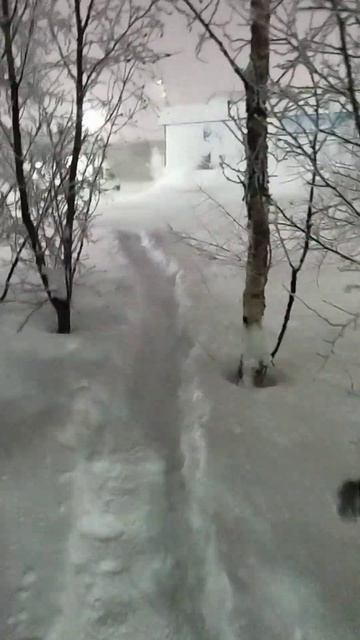 Хруст снега #зима#холодно#крайний север#ямал#снеговик# смотреть онлайн