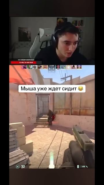 Кто есть мышь в КС 2😳 #cs2 #csgo #ксго #приколыcsgo #stream смотреть онлайн