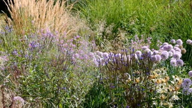 годовой цикл новой волны