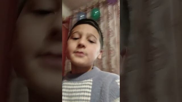 домашние животные комнатные растения смотреть онлайн